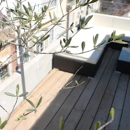 Penthouse Oasis Apartment Setubal
